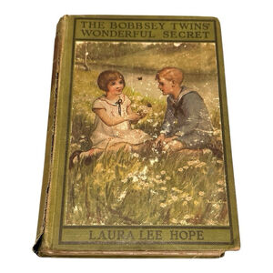 The Bobbsey Twins Wonderful Secret Laura Lee Hope 1931